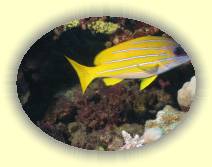 IMG_2007_05_26 18_22_48 * 2272 x 1704 * (470KB)